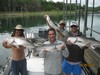(05/28/2014) - Nice Striped Bass